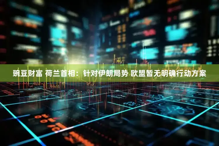 豌豆财富 荷兰首相：针对伊朗局势 欧盟暂无明确行动方案