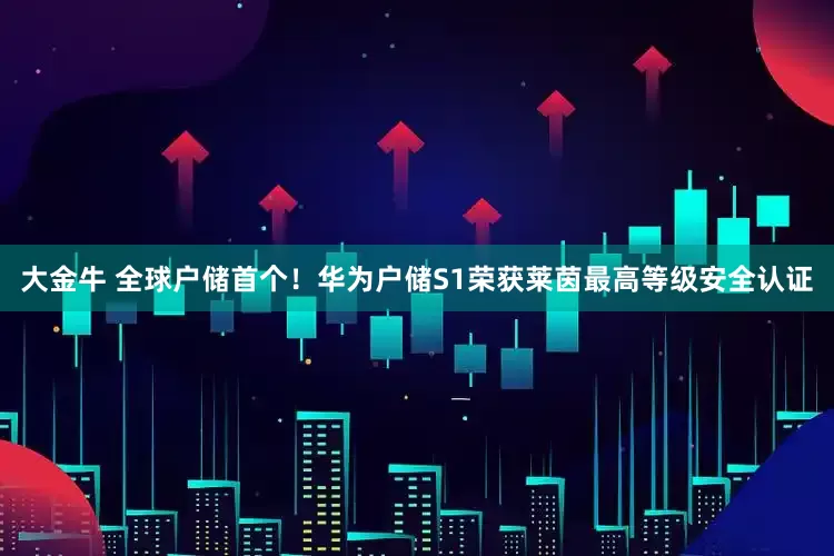 大金牛 全球户储首个！华为户储S1荣获莱茵最高等级安全认证