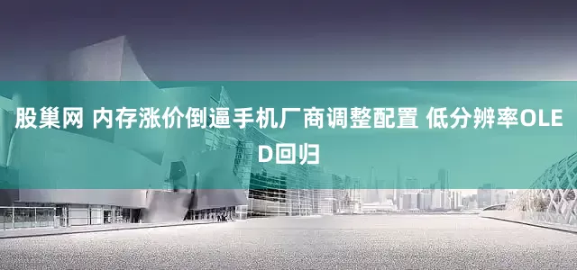 股巢网 内存涨价倒逼手机厂商调整配置 低分辨率OLED回归